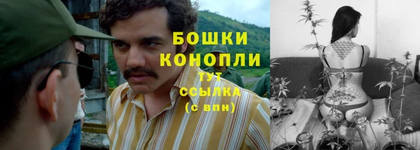 прущие крисы Богданович