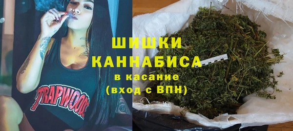 прущие крисы Богданович