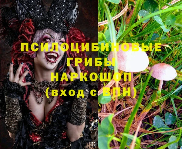 MDMA Premium VHQ Бугульма