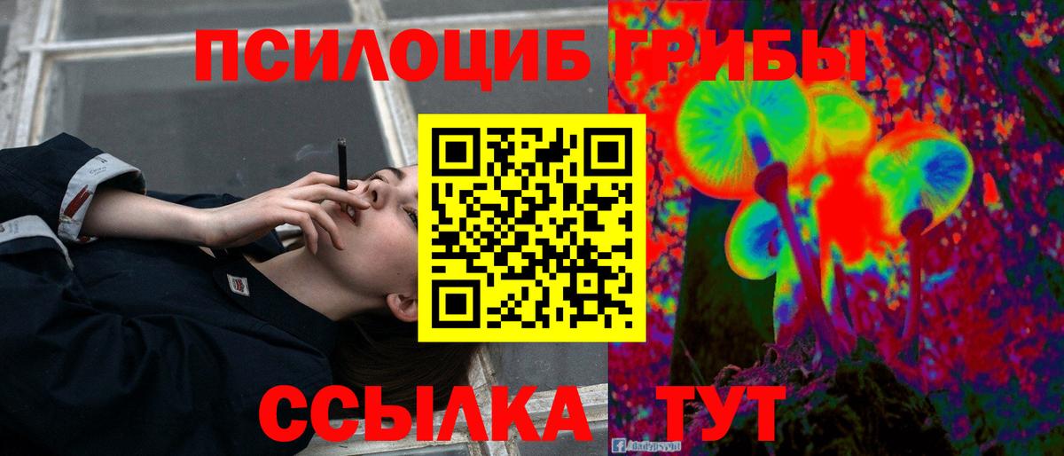 Саяногорск  Псилоцибиновые грибы Psilocybe  Вход с VPN  Псилоцибиновые грибы MAGIC MUSHROOMS 