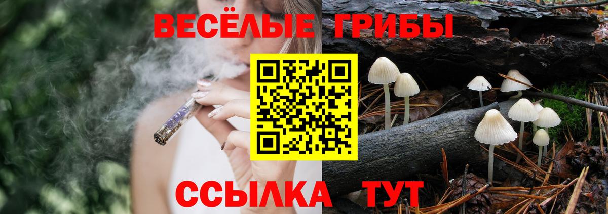 Меф МЯУ МЯУ  А ПВП СОЛЬ кристаллы  Меф МЯУ МЯУ кристаллы  Вход с VPN  Саяногорск  КОКАИН  ГАШИШ 
