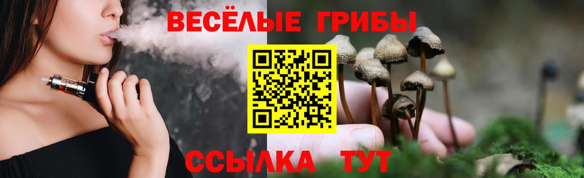 Псилоцибиновые грибы Psilocybine cubensis Саяногорск